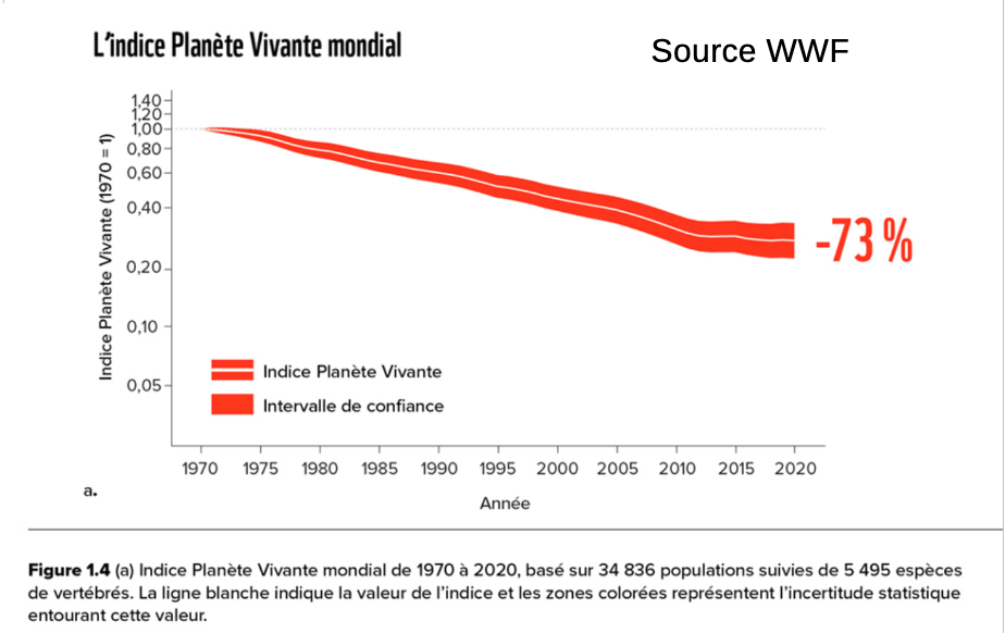 Les populations de vertébrés sauvages ont décliné de 73% en 50 ans !