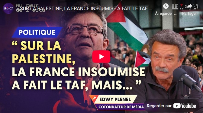 Edwy Plenel, Béligh Nabli : sur la Palestine