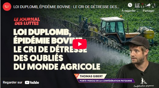 Loi Duplomb, épidémie bovine : le cri de détresse des oubliés du monde agricole