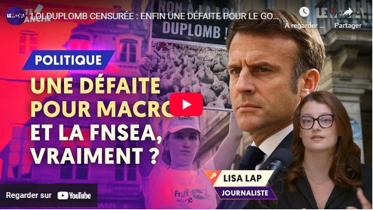 Loi Duplomb censurée